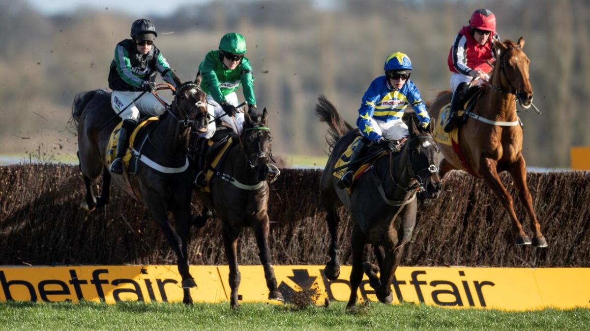 Betfair sponsored fence